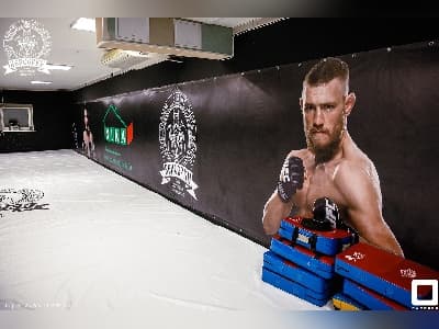НАСТЕННЫЕ ПРОТЕКТОРЫ 'РИНО СПОРТ'